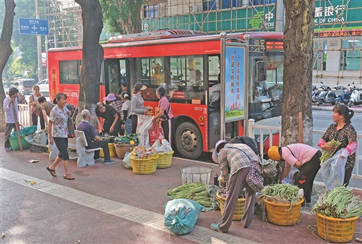 “籮筐專線”串聯鄉村振興路