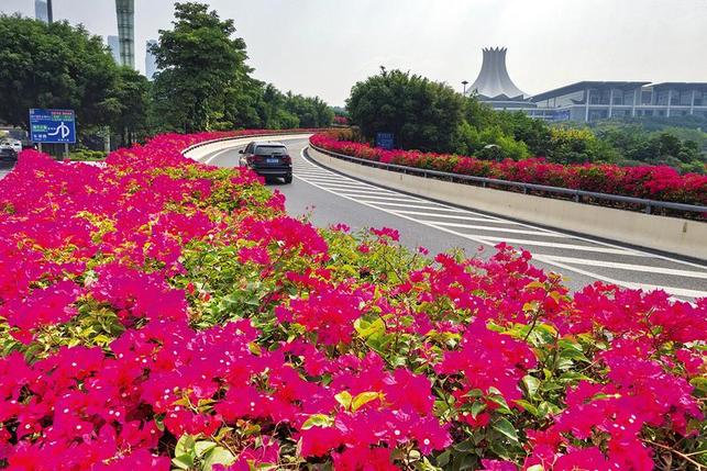 在綻放繁花中邂逅南寧秋日