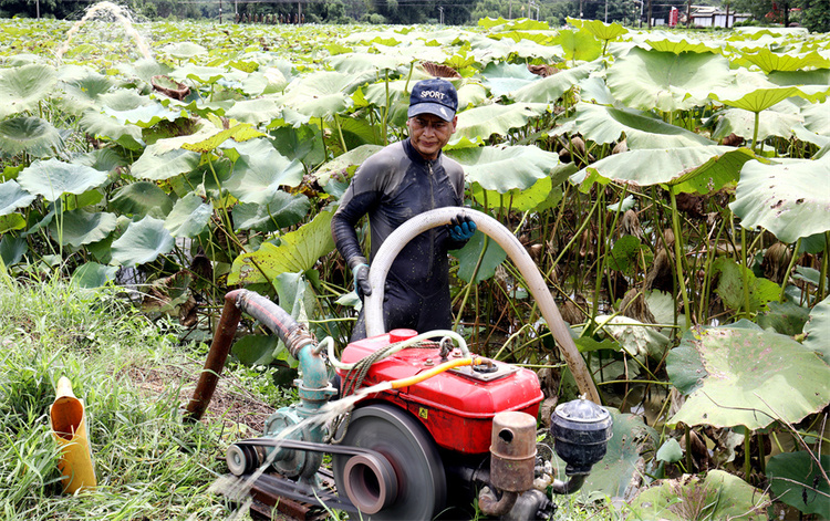 賀州市平桂區：萬畝蓮藕豐收 “蓮”通致富路_fororder_圖為藕農在安裝挖藕設備。.JPG