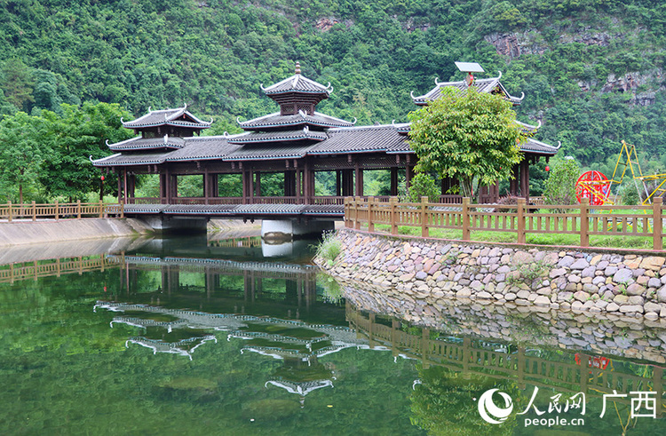 廣西金秀：點“綠”成“金”推動鄉村振興