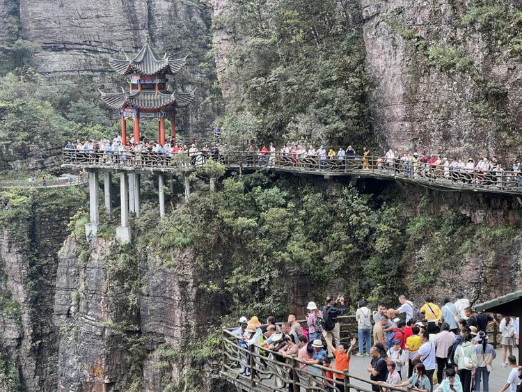 貴港市平南縣：強化自然資源要素保障  助推鄉村振興文旅産業發展_fororder_圖片4