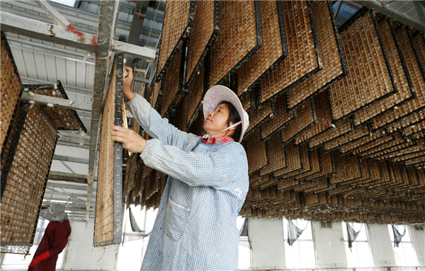 （加急，視頻已過審）【視頻配文】 “絲路”上的養蠶人