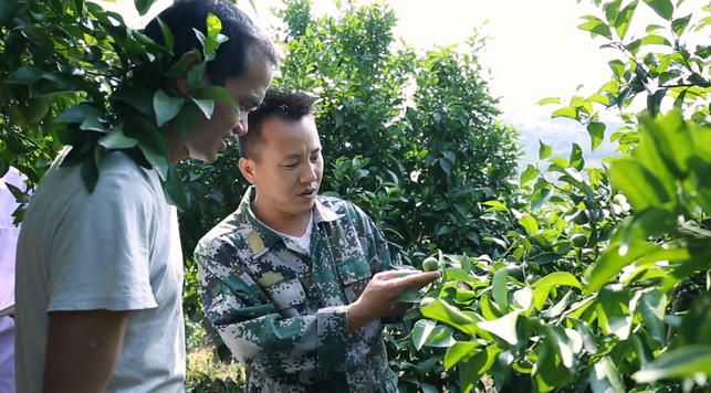 玉林興業：退役軍人在扶貧一線“發光發熱”