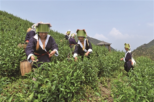 深山土瑤脫貧路