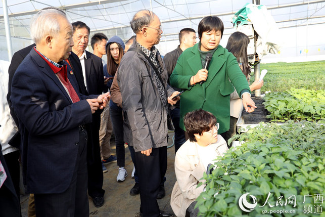 廣東清遠市關工委考察團到平桂區參觀考察學習