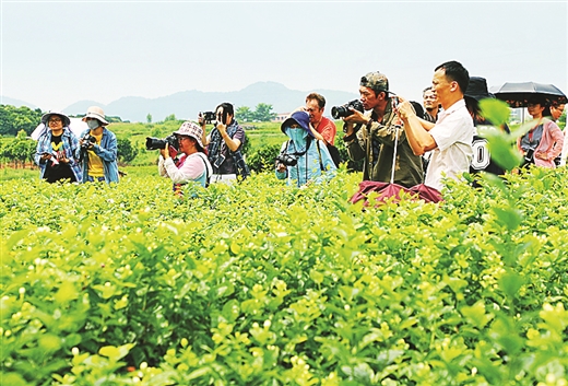 擁抱“旅遊+” 發展新業態