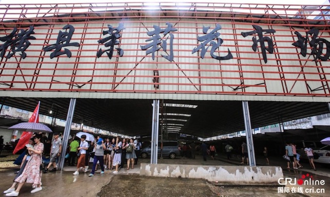 感受東方韻味 全國主流媒體團探訪南寧橫縣茉莉花市場