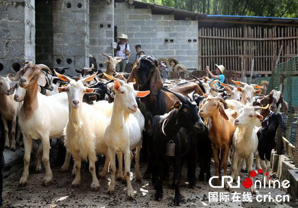 【唐已審】【原創】大化三十年 點讚瑤鄉新變化——記河池市大化瑤族自治縣成立30年來的發展新成就