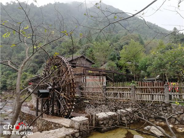 【唐已審】【原創】姑婆山生態環境助飛賀州長壽經濟