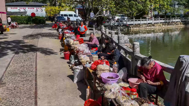 桂林靈川：百萬株銀杏“披金”引客來_fororder_4