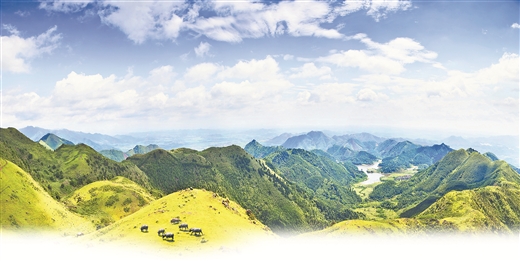 點綠成金 鋪就生態富民路