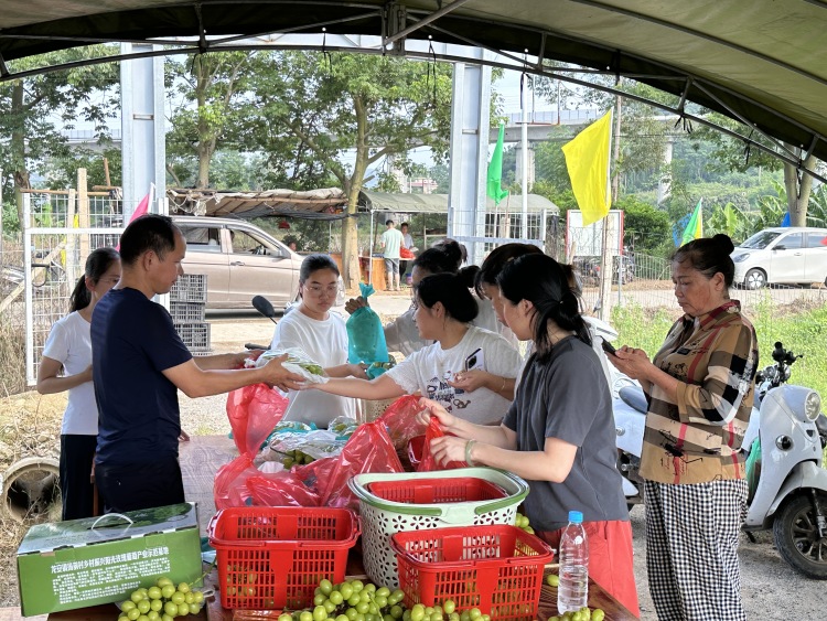 廣西興業：甜蜜産業奏響鄉村經濟振興強音_fororder_2