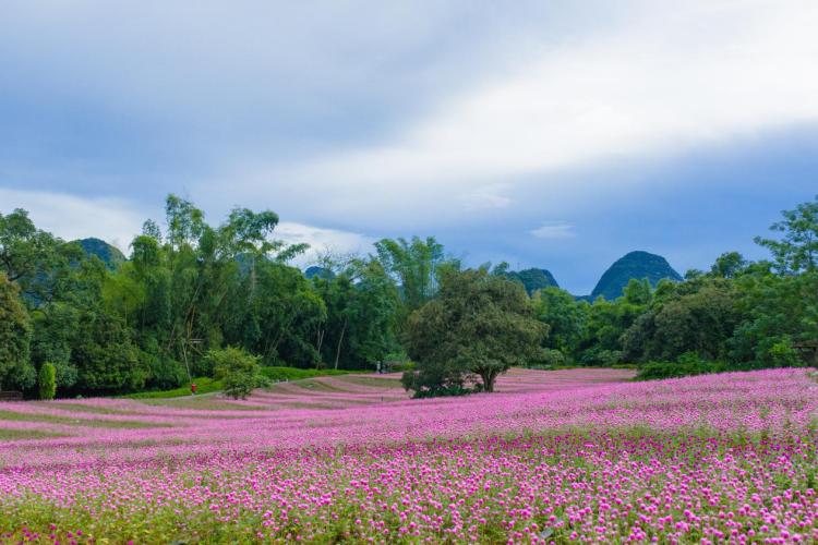 崇左:峒那嶼灣水果儂峒節展現壯鄉風情_fororder_3