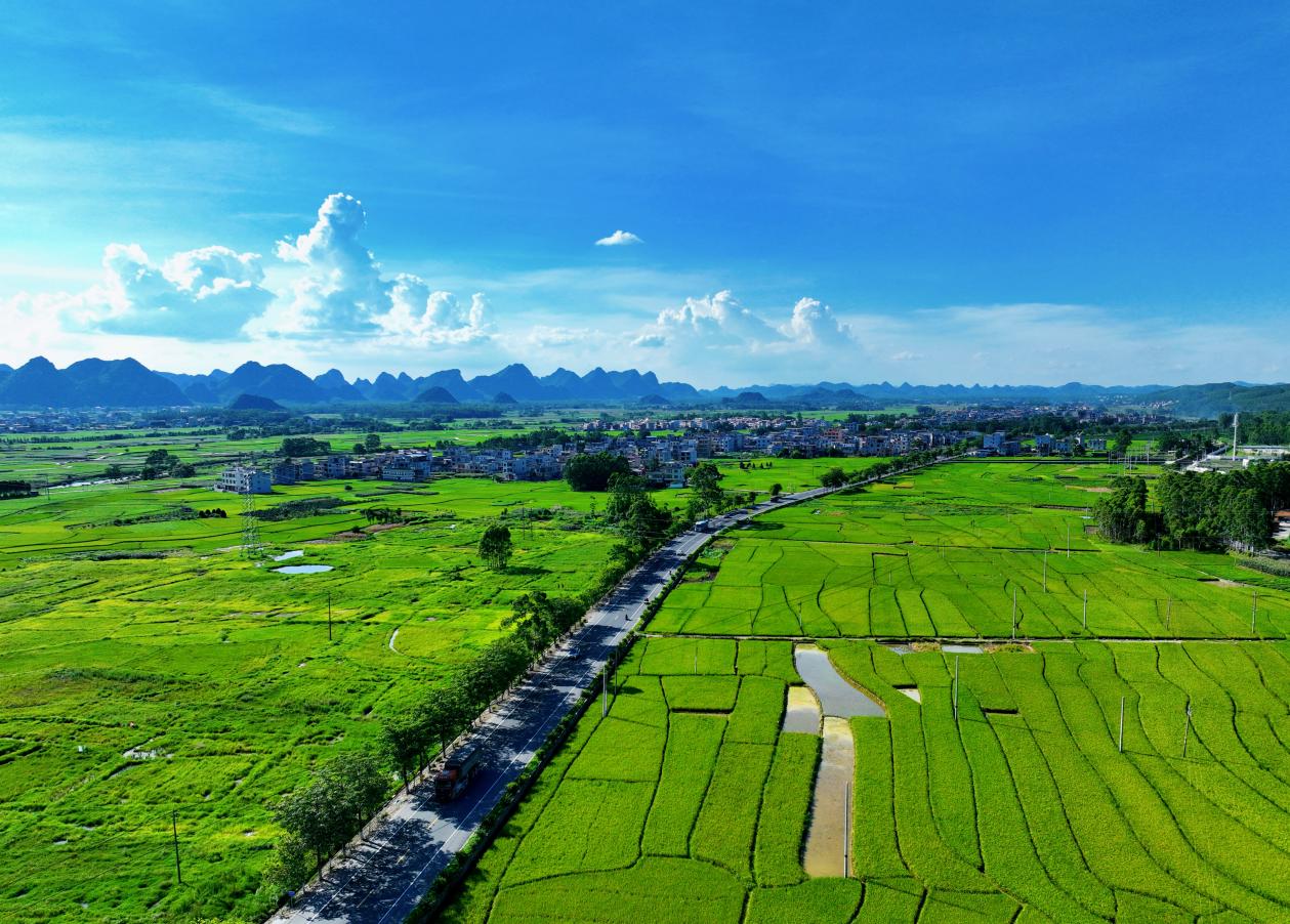 貴港：“壯美公路”繪就鄉村振興新圖景_fororder_1