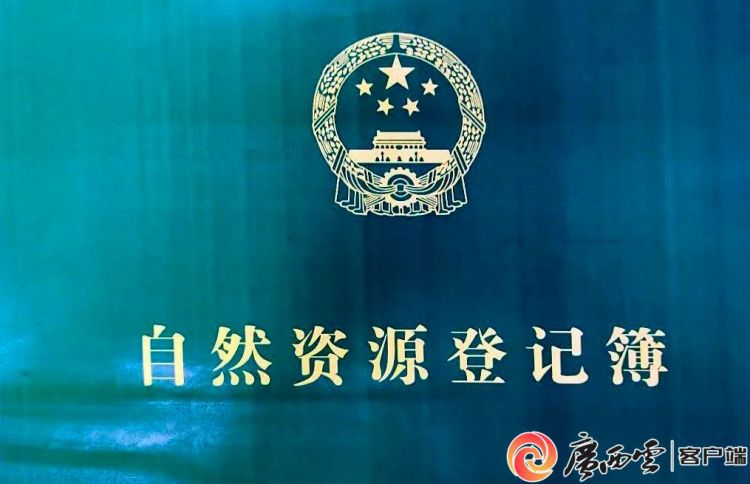 廣西地市級首個！滑水衝自然保護區喜提自然資源“戶口本”