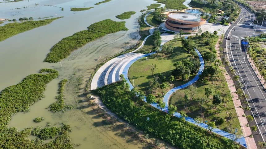 廣西欽州孔雀灣生態修復項目榮獲首屆聯合國“海洋十年”海洋生態保護修復大賽獎