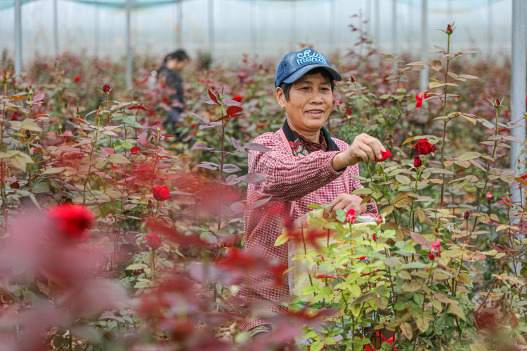 桂林靈川：“顏值”變“産值” “美麗經濟”激活鄉村發展新動能_fororder_1