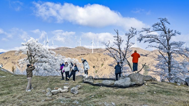 桂林高寒山區現冰挂霧凇美景_fororder_6