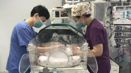 高曉燕：紮根兒科崗位二十余載 守護萬千孩童健康