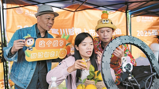 田間直播帶火富川臍橙_fororder_9006338_hhb_1762497505634_b