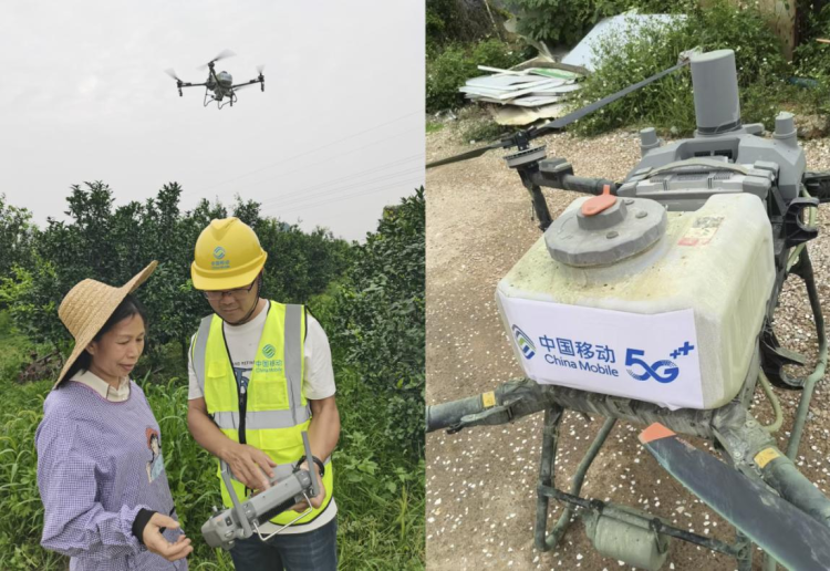5G賦能沃柑産業 南寧武鳴果農嘗甜頭_fororder_圖片3