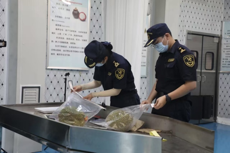 水口口岸二橋監管貨場啟用 日通關量可容納1500櫃重車_fororder_2