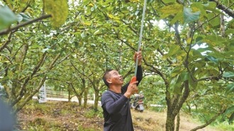 圖片默認標題