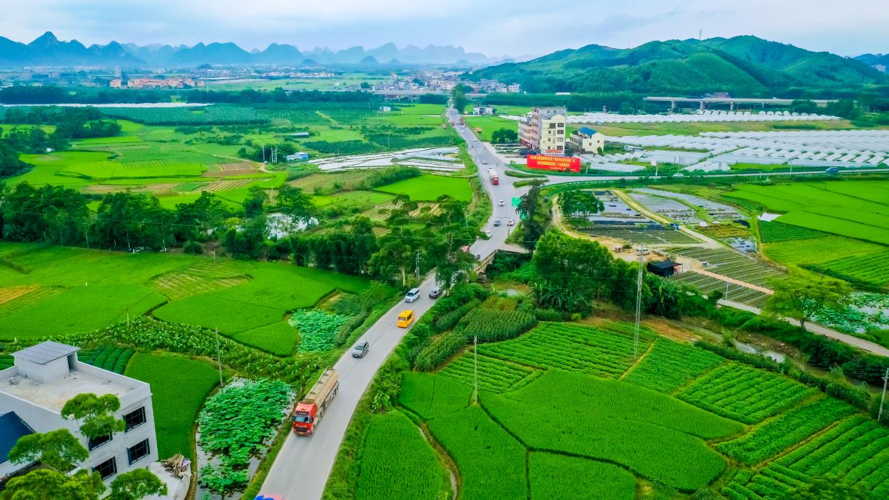 貴港：“壯美公路”繪就鄉村振興新圖景_fororder_4