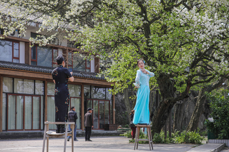 桂林靈川：梨花似雪香滿徑 遊人如織醉春風_fororder_3