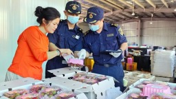 廣西首批16.3噸荔枝搶“鮮”出海