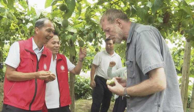 桂林臨桂：農學博士“送技下鄉”賦能鄉村振興_fororder_2