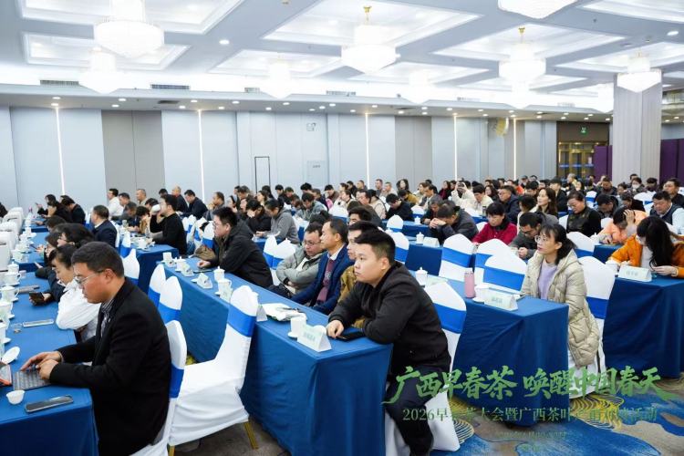 全國茶商匯聚南寧品茗廣西早春茶 多項長期産銷合作協議促成_fororder_1