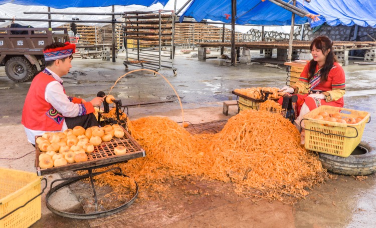 廣西平樂：柿紅景美産業興_fororder_2