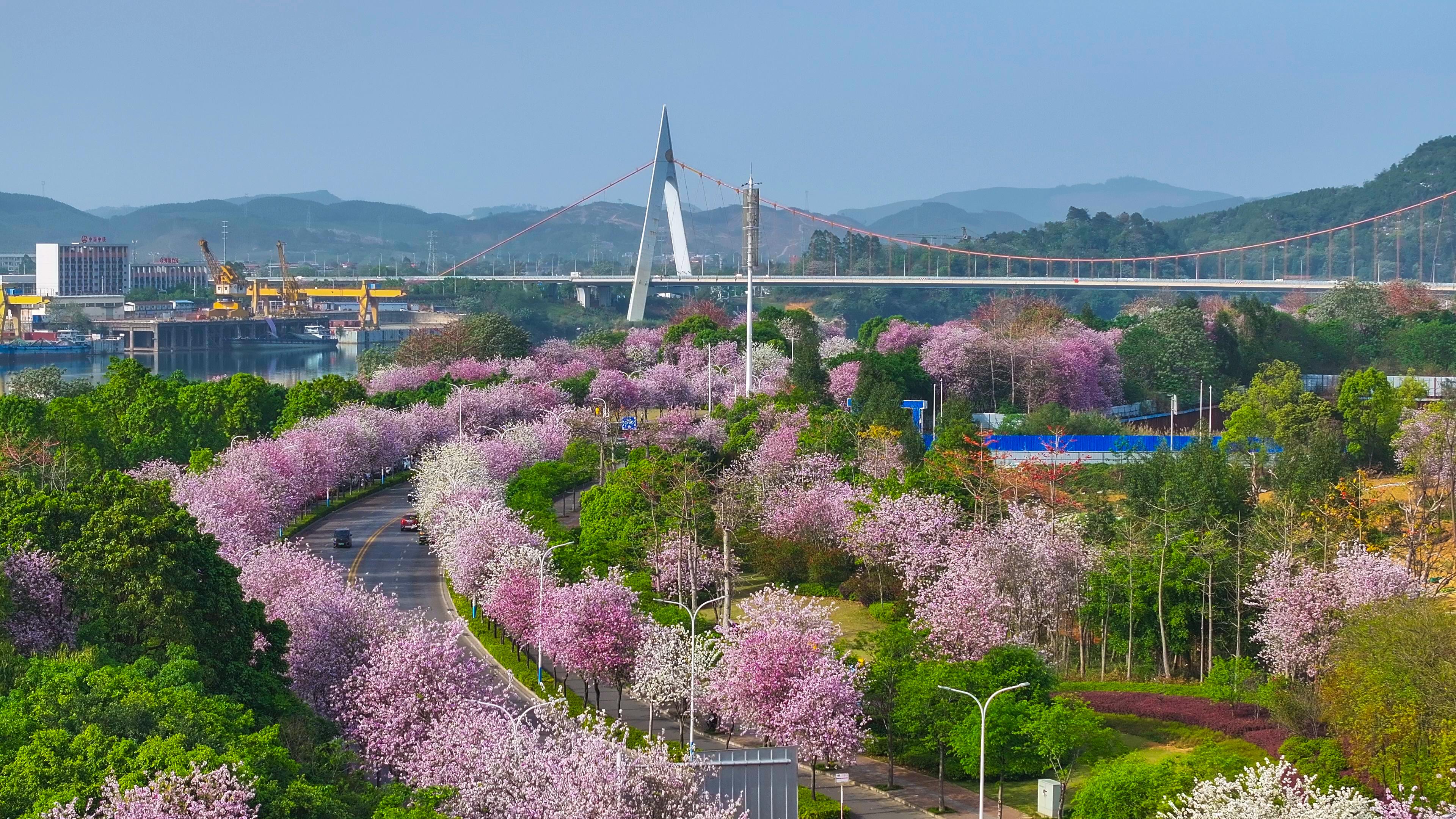 2025“驚奇柳州”文化旅遊推廣活動在桂林舉辦_fororder_2