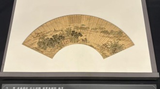 82件明清扇面藝術瑰寶在廣西博物館展出