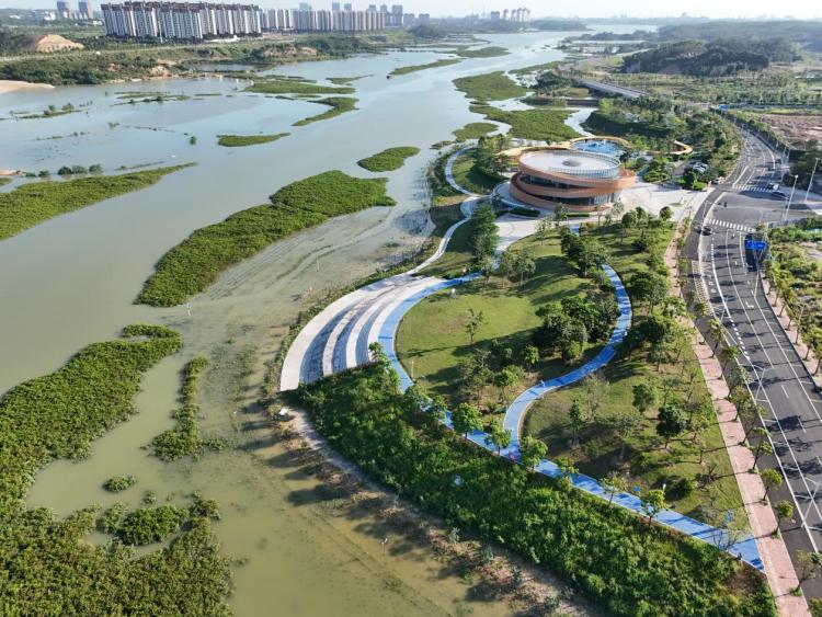 廣西欽州孔雀灣生態修復項目榮獲首屆聯合國“海洋十年”海洋生態保護修復大賽獎_fororder_2