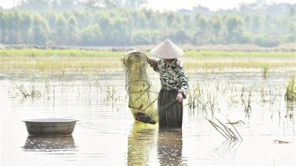 鋼火淬文明 鄉風潤沃土