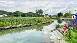 廣西鹿寨：千年古鎮破譯依渡而興的“土地密碼”