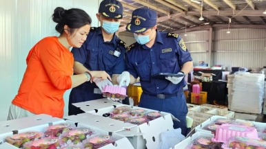 廣西首批16.3噸荔枝搶“鮮”出海