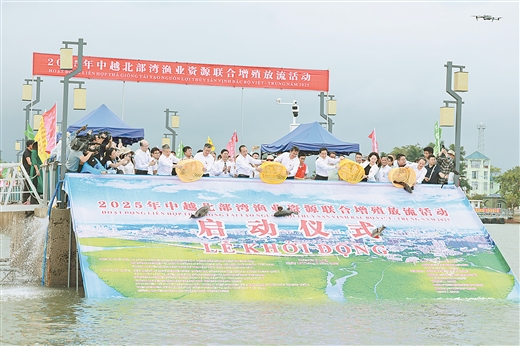 攜手向海 共築藍色新未來 ——廣西深化中國—東盟海洋合作實踐紀實