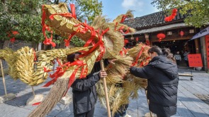 桂林靈川：東漓古村草龍迎新春 傳統非遺“活”起來