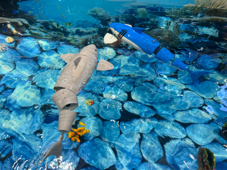 “水下先鋒”破浪，廣西智造馭深海