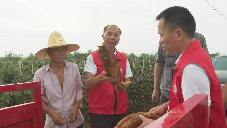 桂林臨桂：農學博士“送技下鄉”賦能鄉村振興_fororder_1