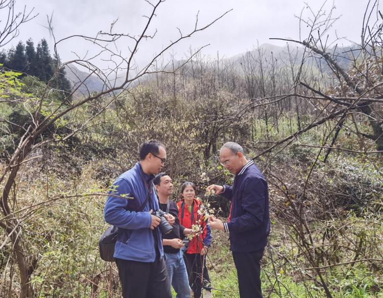 廣西已建成林草種質資源庫41處 擁有全國最大的桉樹基因庫_fororder_3