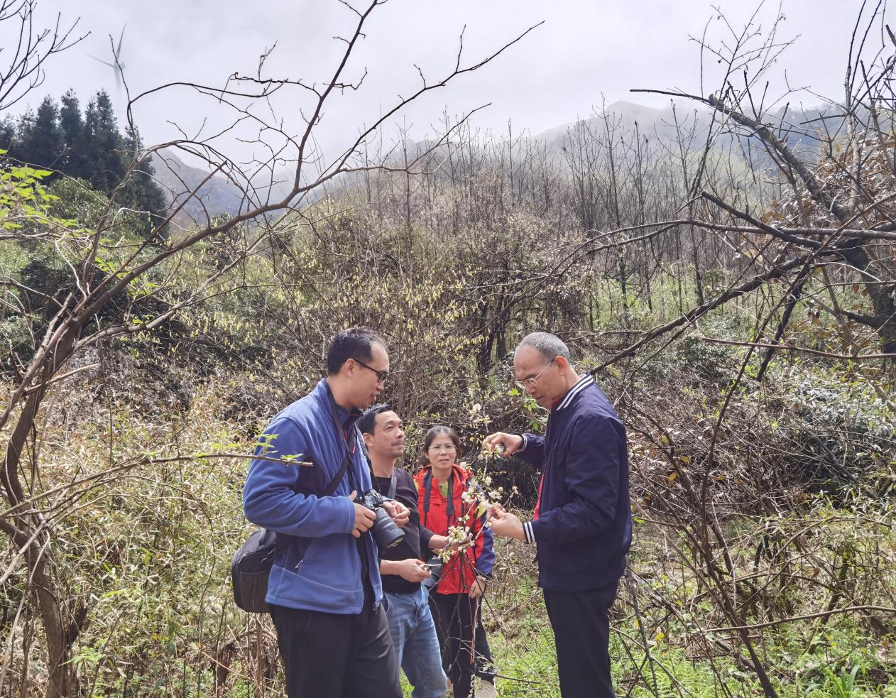 廣西已建成林草種質資源庫41處 擁有全國最大的桉樹基因庫_fororder_3