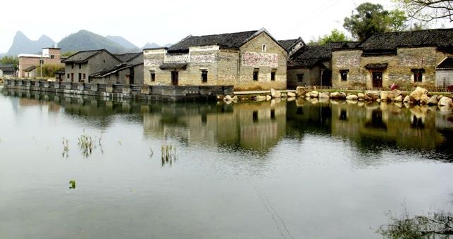 賀州平桂區:打造三大基地助力脫貧攻堅 實現鄉村振興