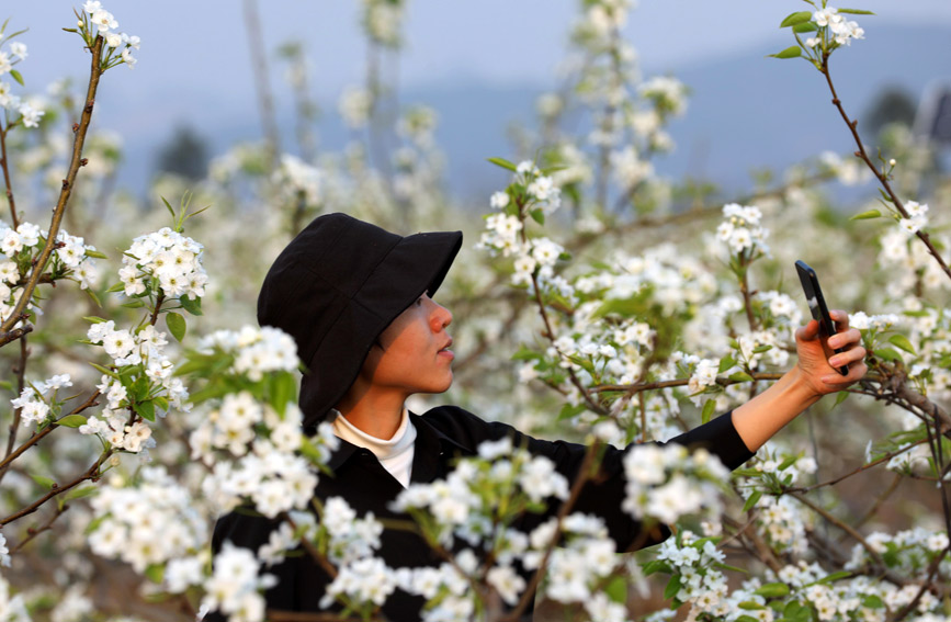 廣西：花爭艷 春滿城