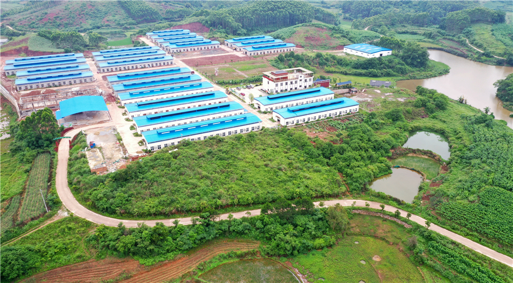 南寧邕寧區：開啟五千年蠶桑文化的工業化傳承之旅