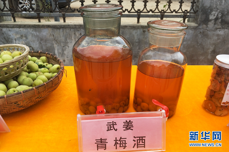 廣西大新縣：小青梅成為致富“金果果”