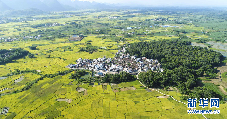 廣西：仫佬山鄉田園如畫